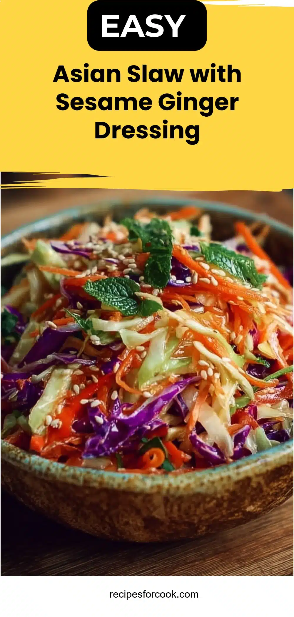 Asian Slaw with Sesame Ginger Dressing 5 Asian Slaw with Sesame Ginger Dressing