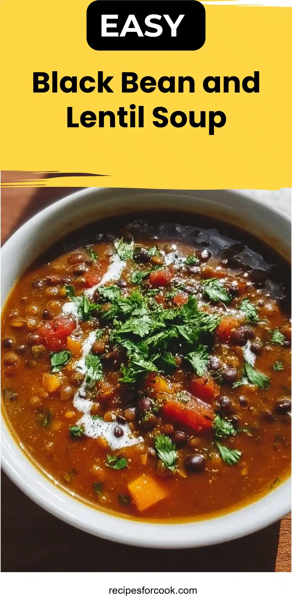 Black Bean and Lentil Soup 5 Black Bean and Lentil Soup