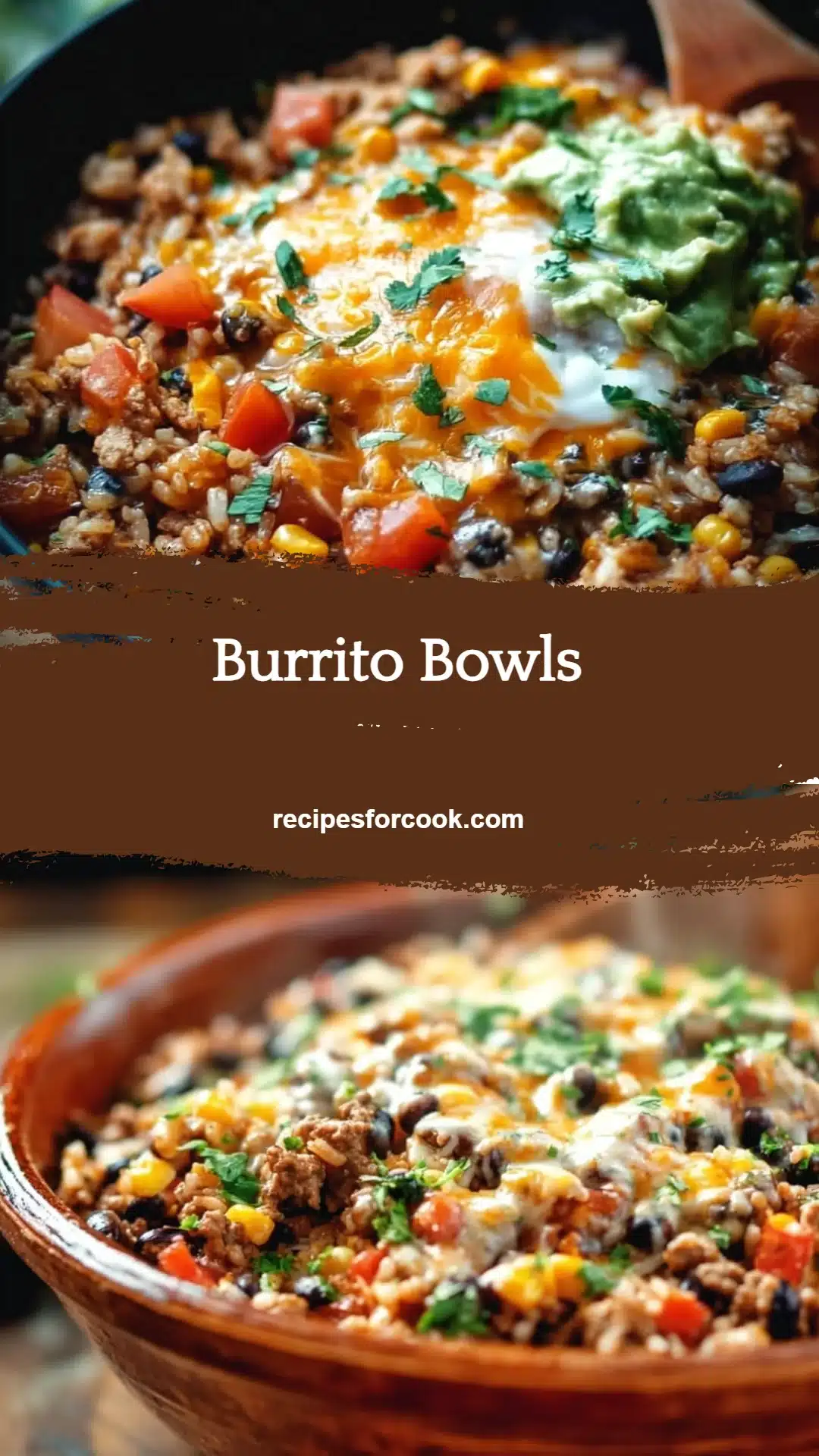 Burrito Bowls 5 Burrito Bowls