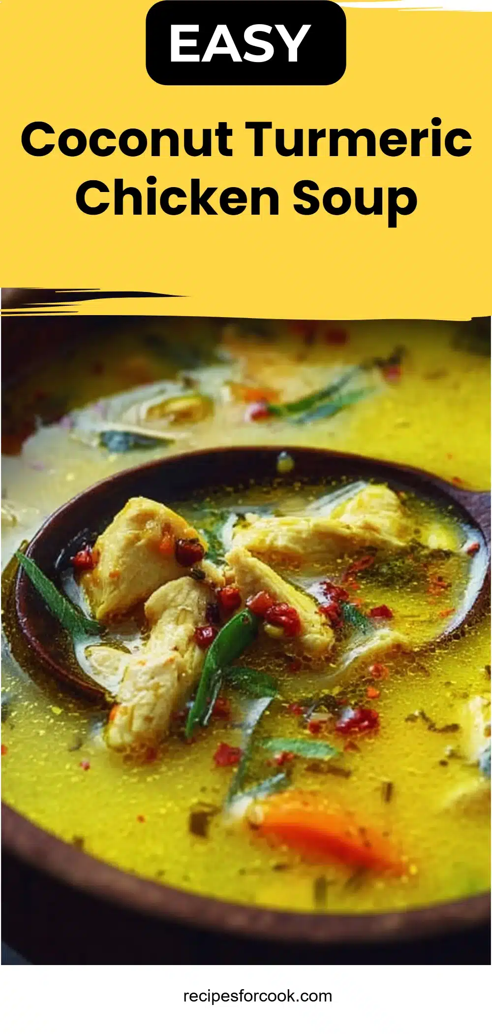 Coconut Turmeric Chicken Soup 5 Coconut Turmeric Chicken Soup