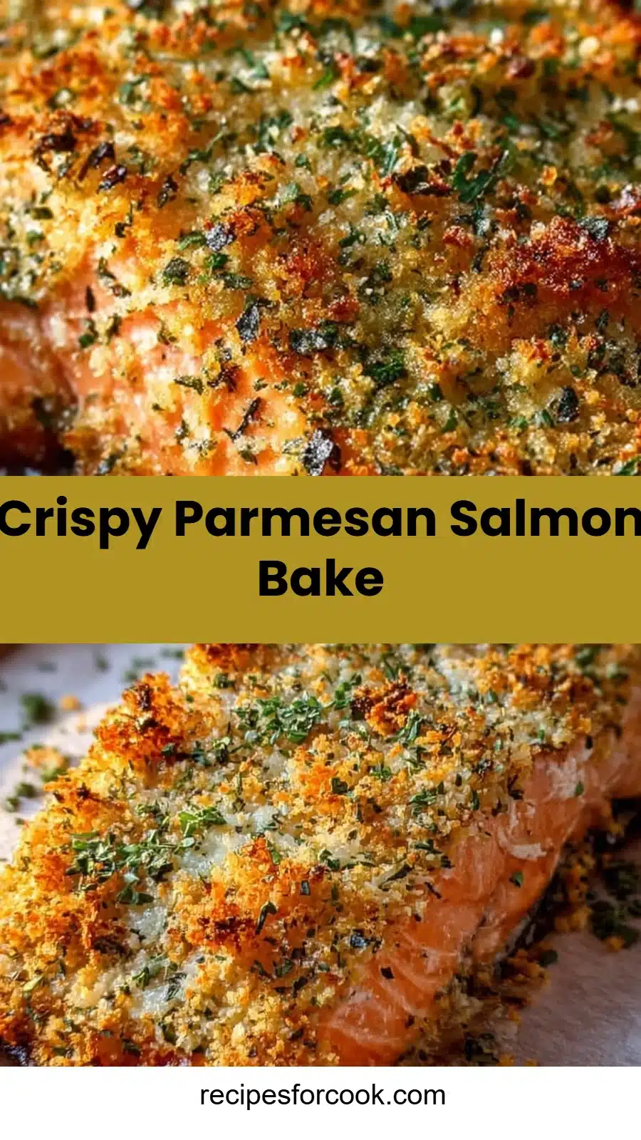 Crispy Parmesan Salmon Bake 5 Crispy Parmesan Salmon Bake