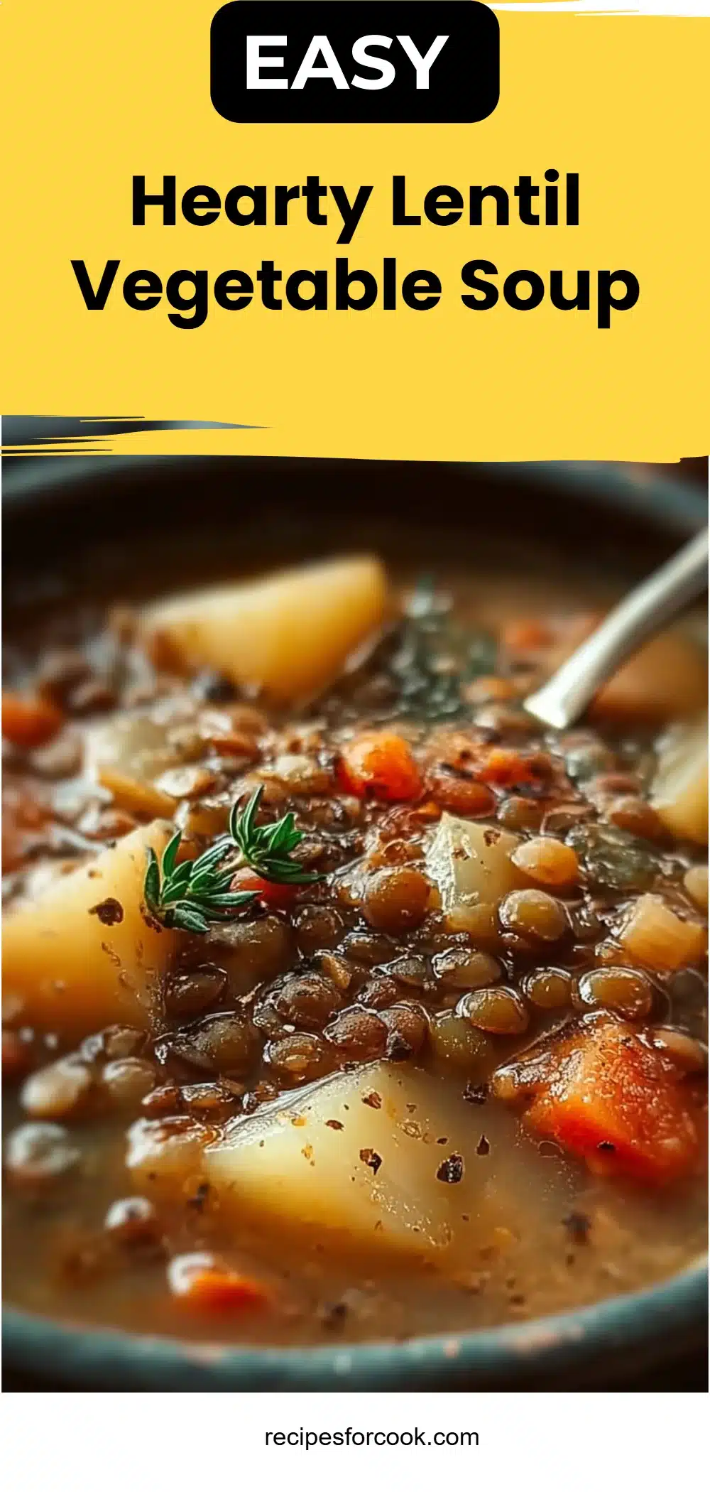 Hearty Lentil Vegetable Soup 5 Hearty Lentil Vegetable Soup