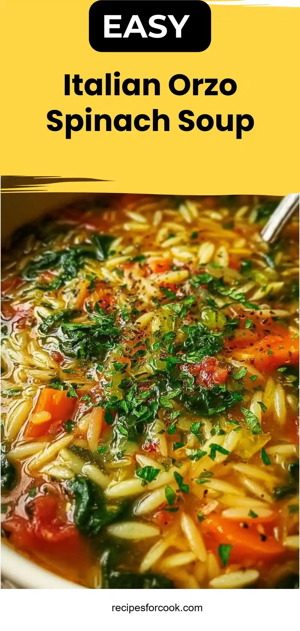 Italian Orzo Spinach Soup 5 Italian Orzo Spinach Soup