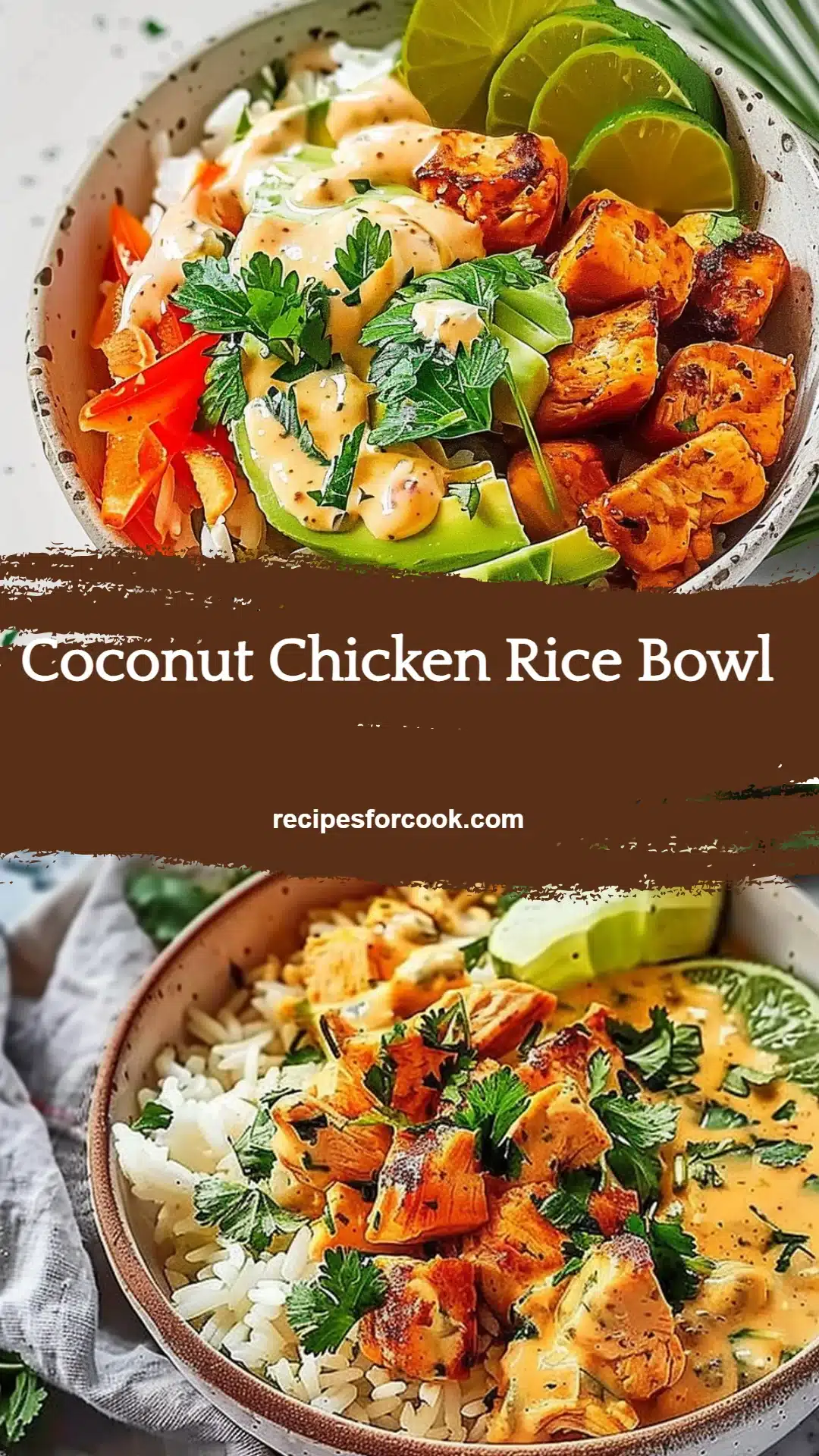 Coconut Chicken Rice Bowl 5 Coconut Chicken Rice Bowl