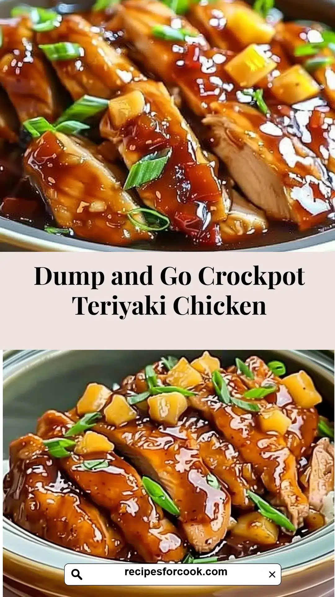Dump and Go Crockpot Teriyaki Chicken 5 Dump and Go Crockpot Teriyaki Chicken