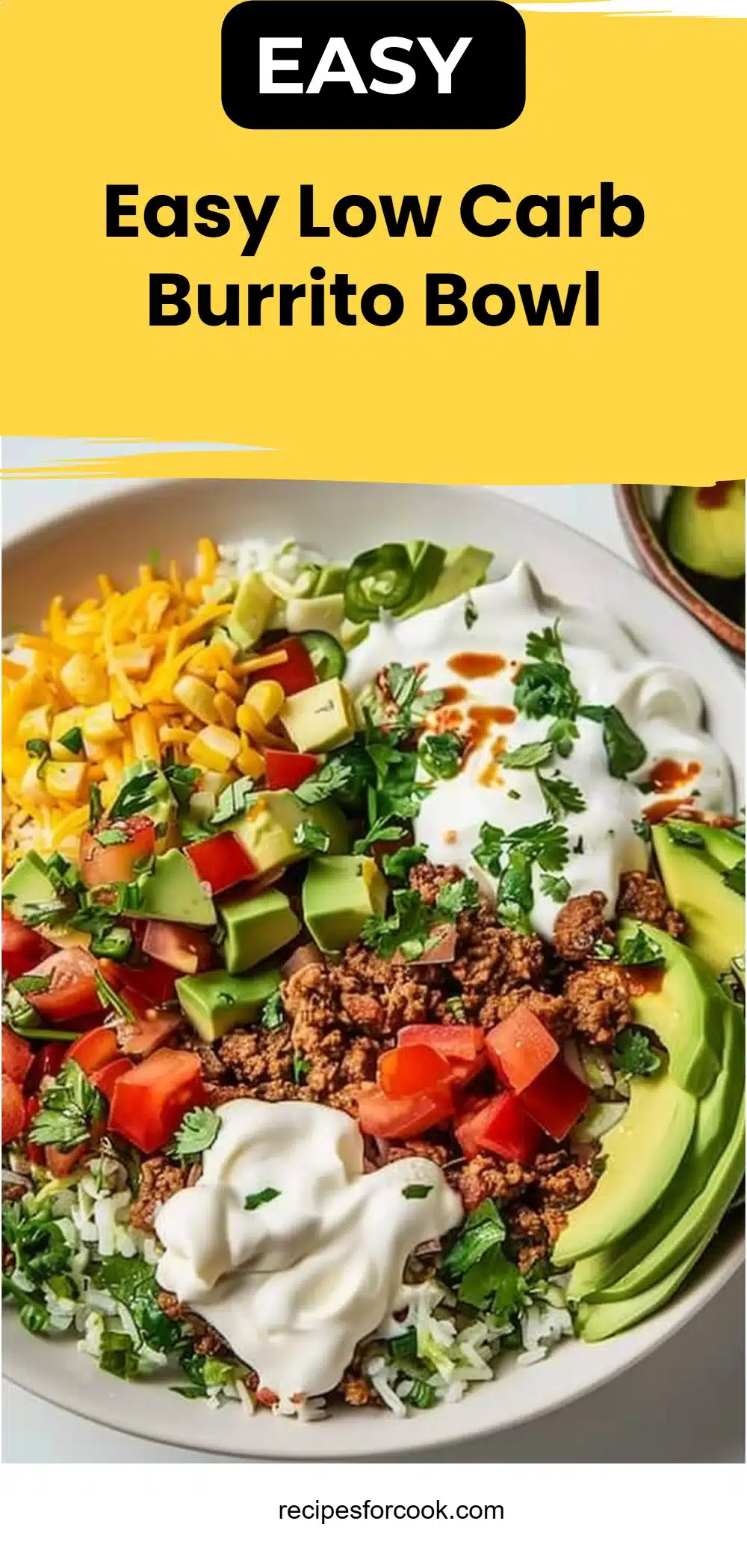 Easy Low Carb Burrito Bowl 5 Easy Low Carb Burrito Bowl