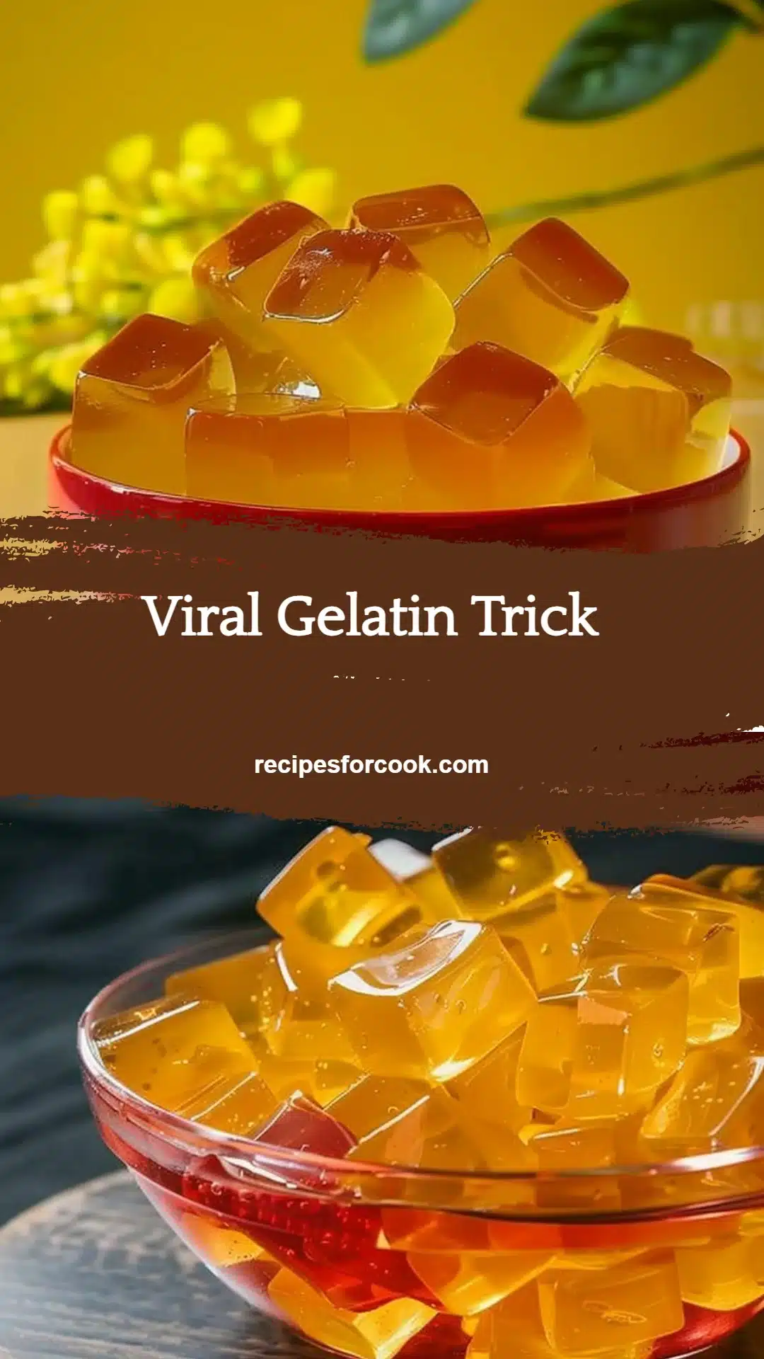 Viral Gelatin Trick 5 Viral Gelatin Trick