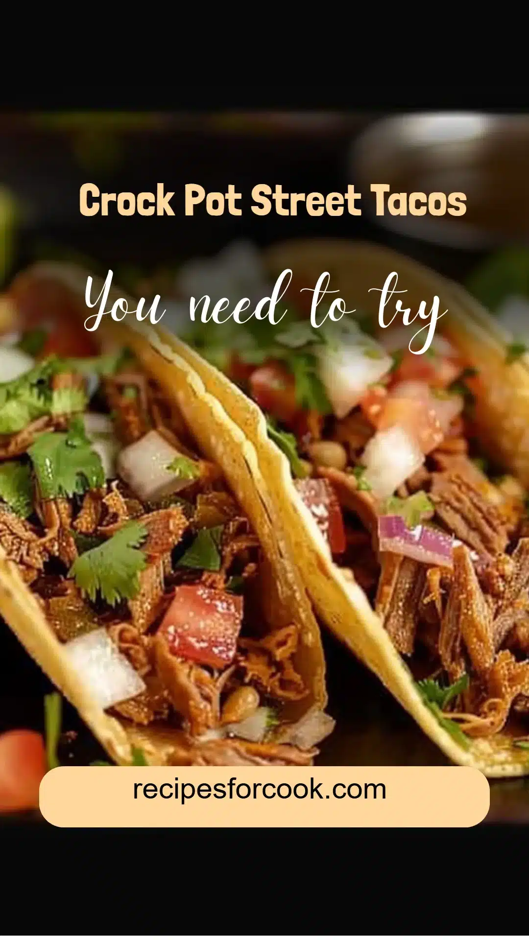 Crock Pot Street Tacos 5 Crock Pot Street Tacos