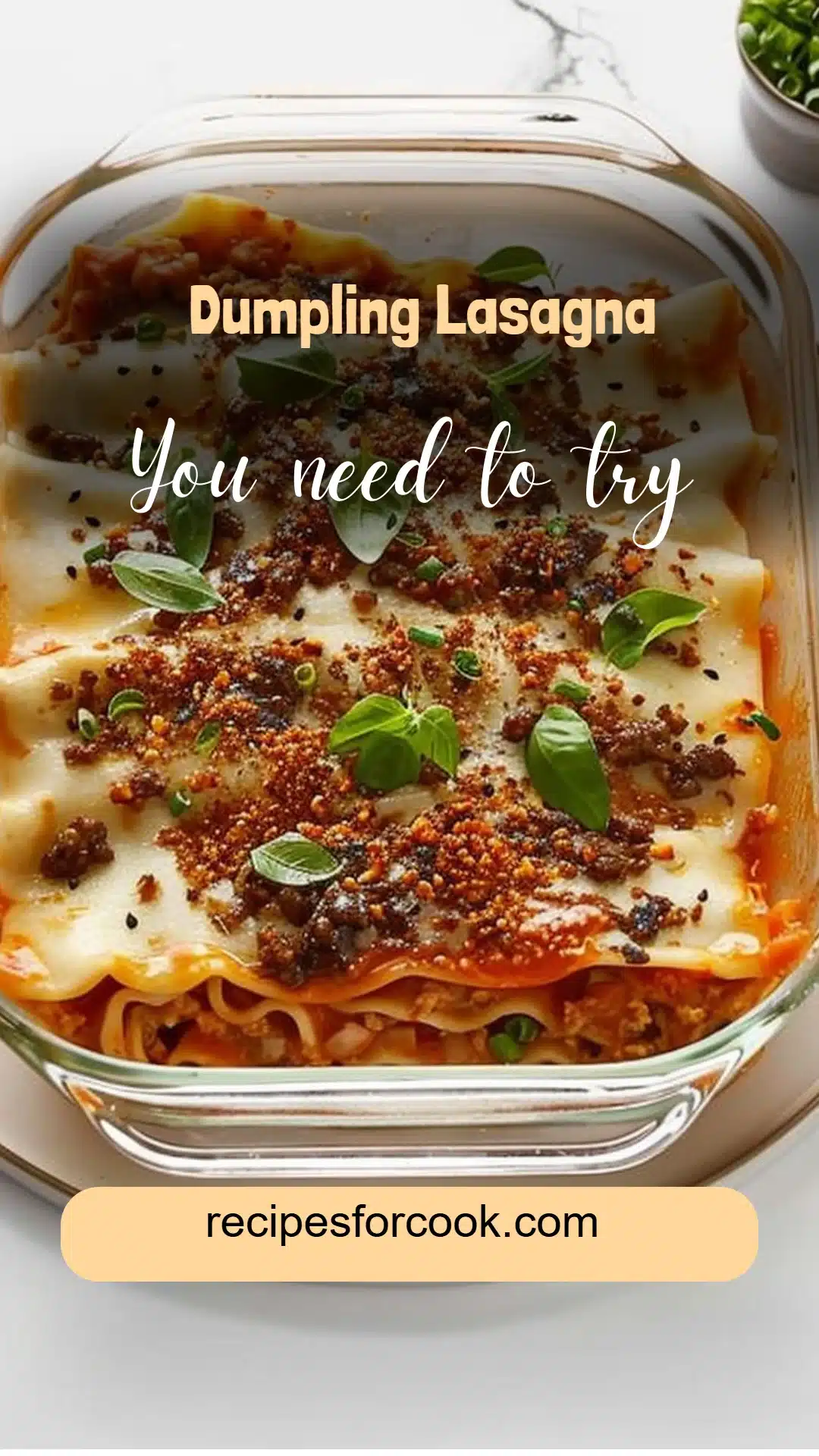 Dumpling Lasagna 5 Dumpling Lasagna