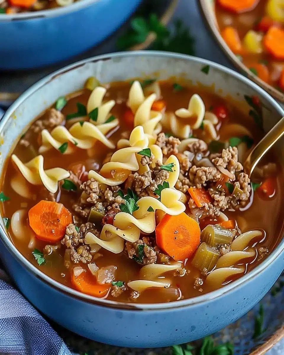 Easy Hamburger Noodle Soup 6 Easy Hamburger Noodle Soup