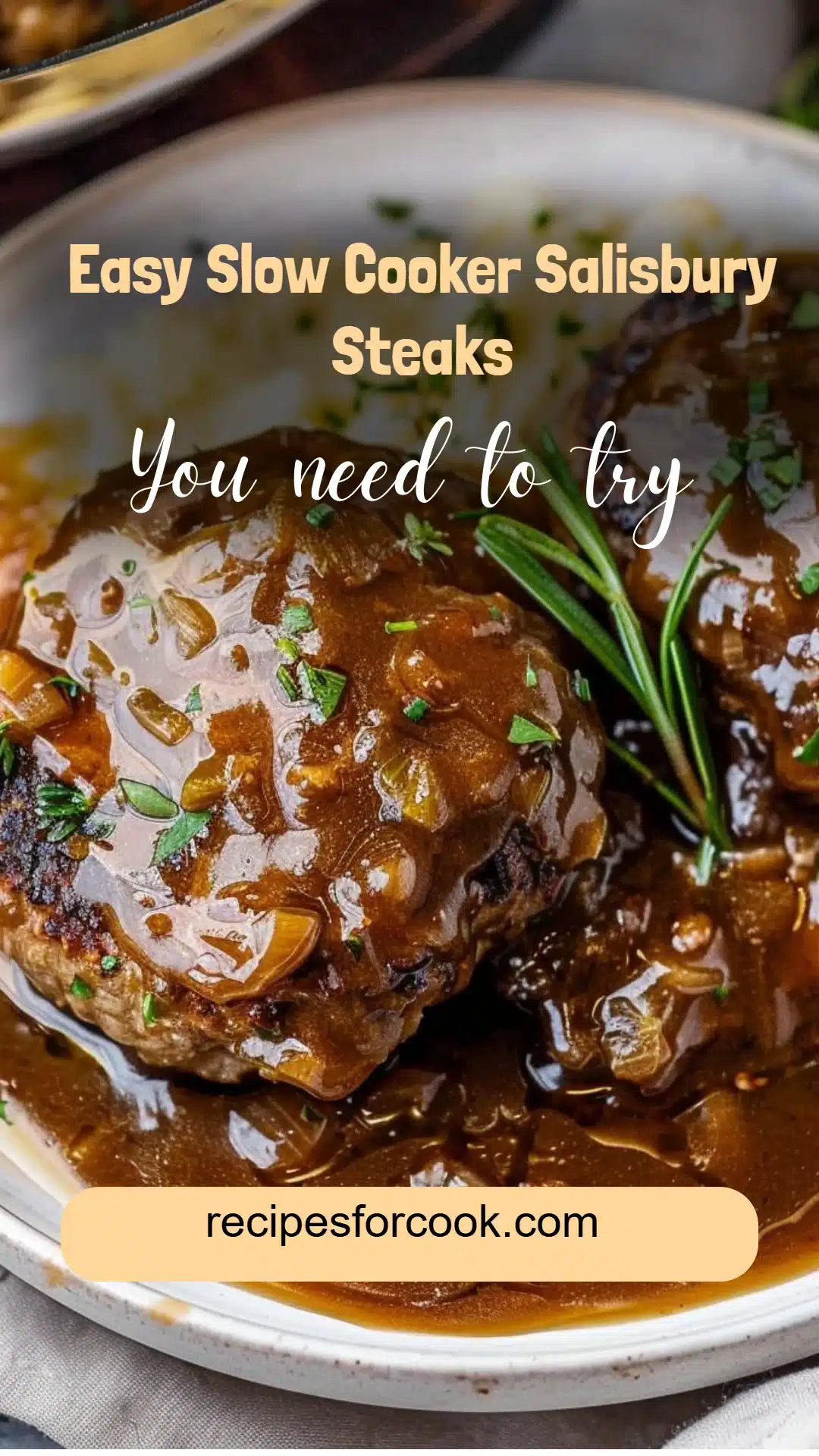 Easy Slow Cooker Salisbury Steaks 5 Easy Slow Cooker Salisbury Steaks