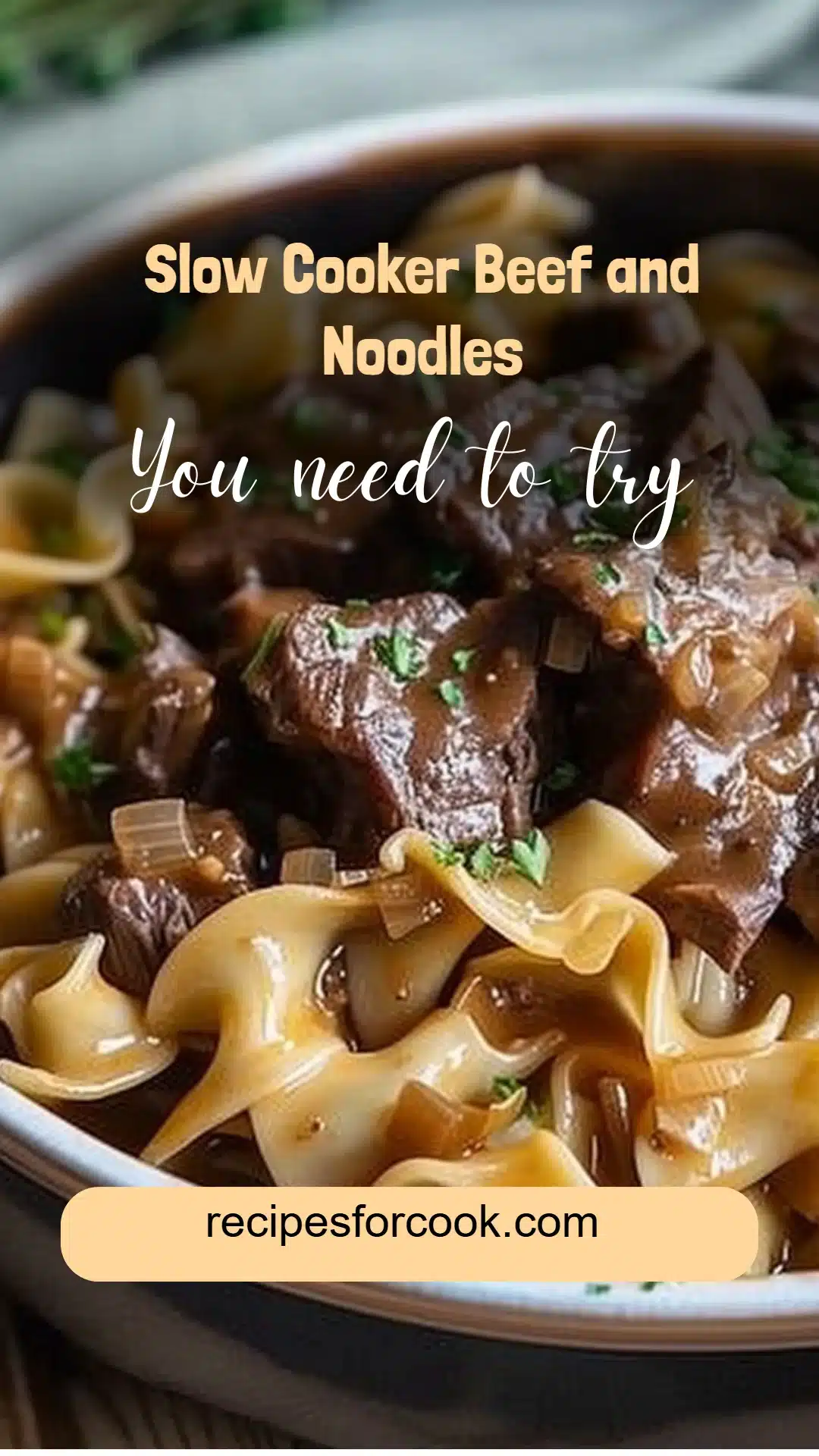 Slow Cooker Beef and Noodles 5 Slow Cooker Beef and Noodles