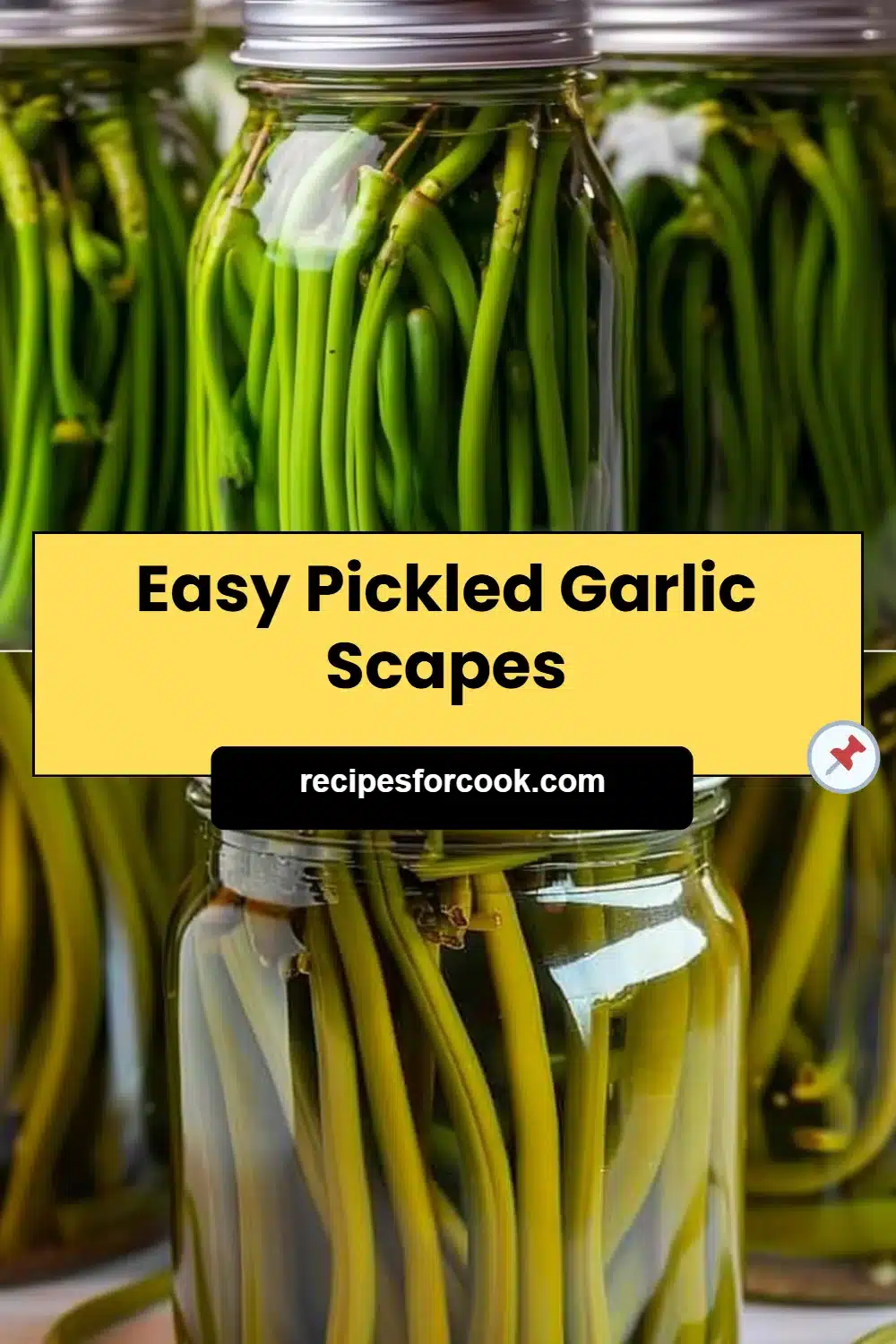 Easy Pickled Garlic Scapes 5 Easy Pickled Garlic Scapes