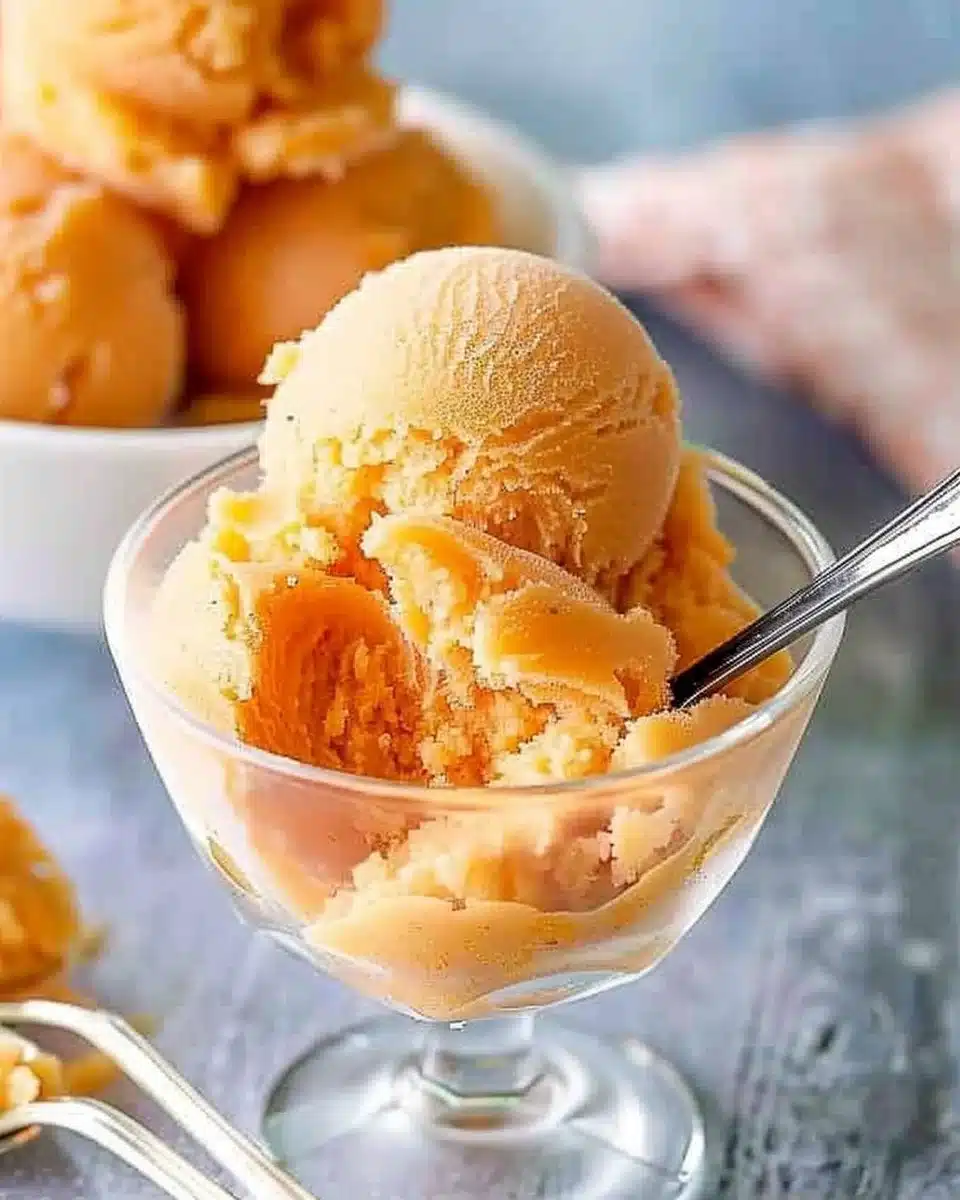 Homemade Apricot Sorbet 6 Apricot Sorbet