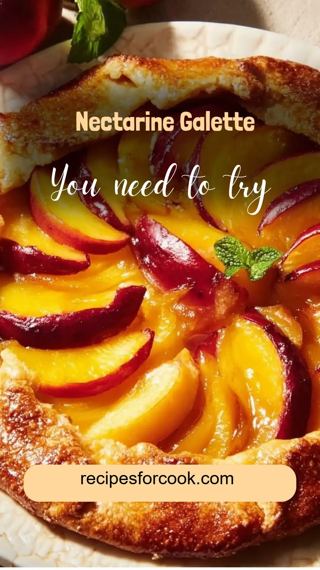 Nectarine Galette 5 Nectarine Galette